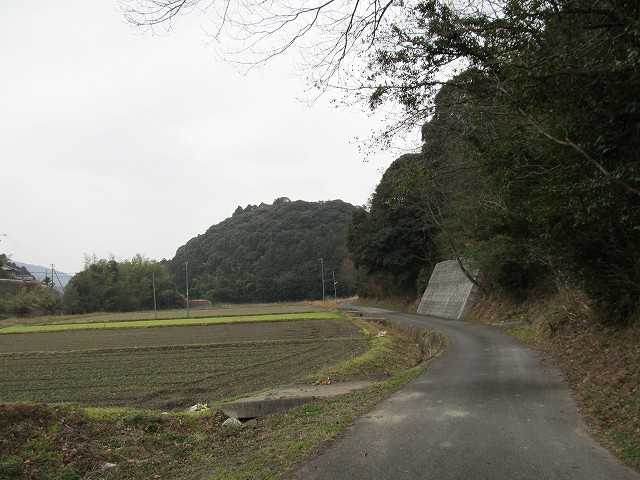 t04_039.jpg