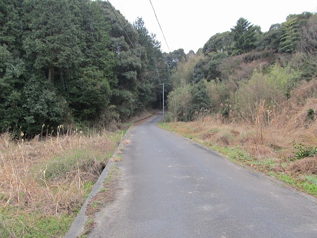 t04_040.jpg