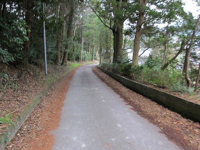 t04_041.jpg
