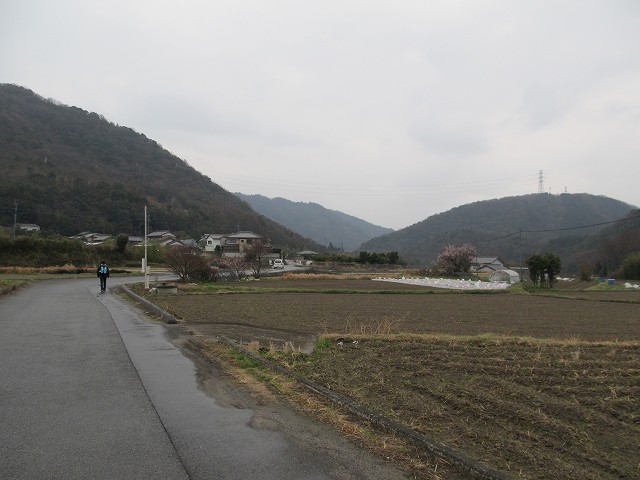 t04_044.jpg