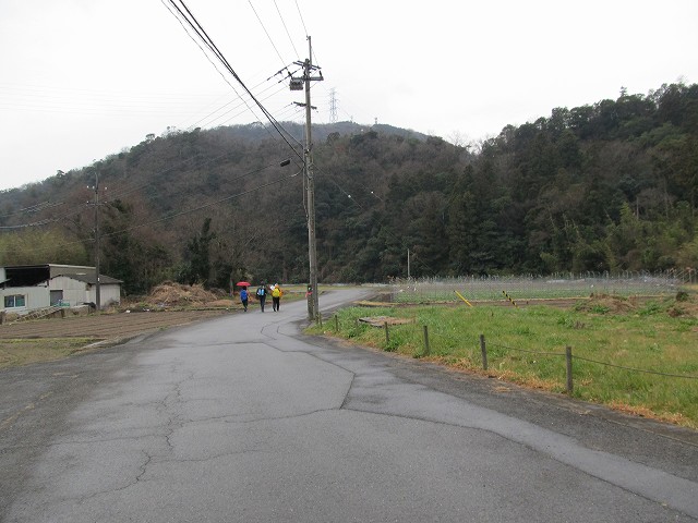 t04_049.jpg