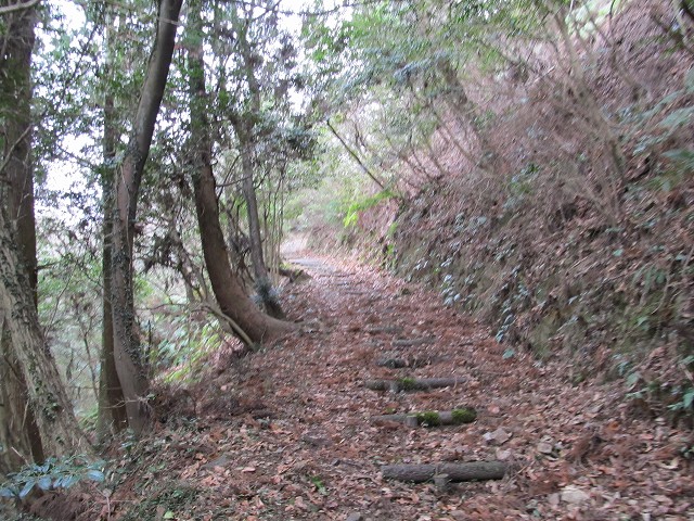 t04_050.jpg