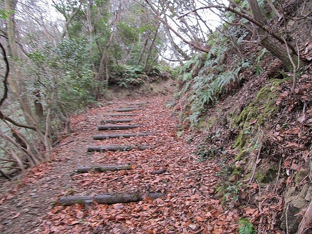 t04_051.jpg