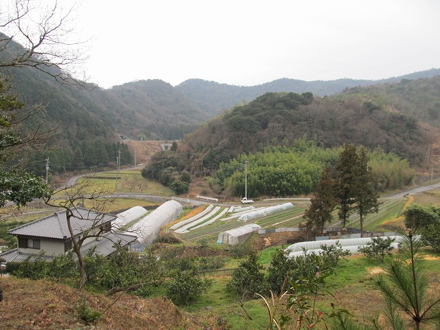 t04_052.jpg