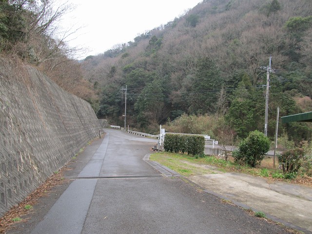t04_054.jpg