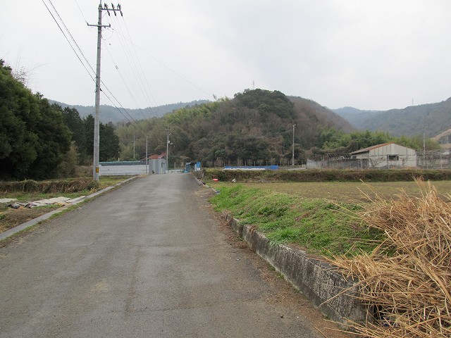 t04_055.jpg