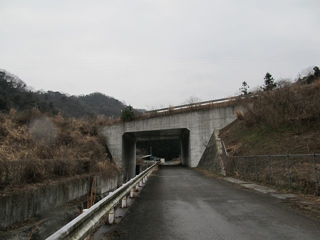 t04_057.jpg