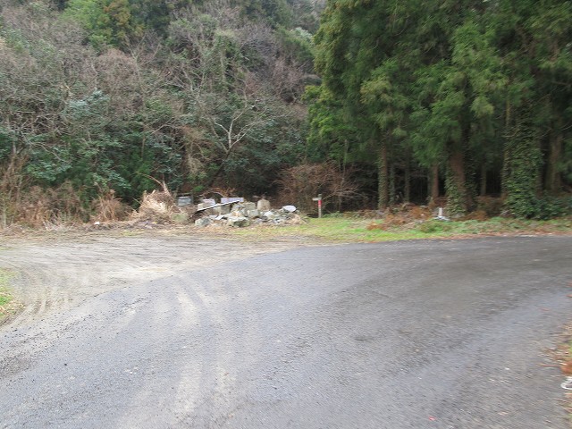 t04_058.jpg