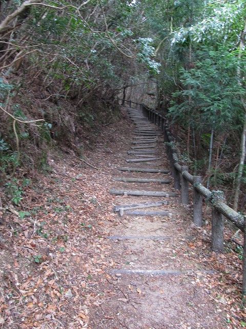 t04_060.jpg