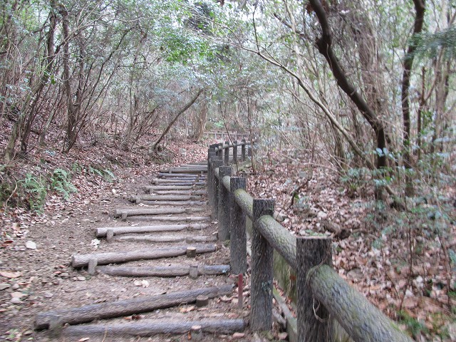 t04_061.jpg