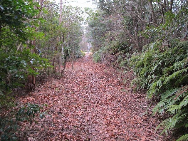 t04_062.jpg