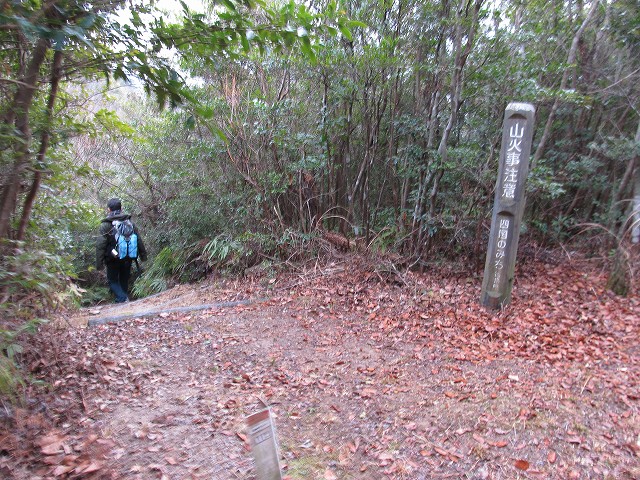 t04_063.jpg
