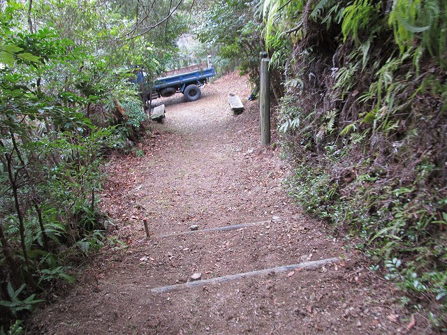 t04_065.jpg