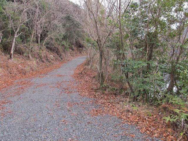 t04_066.jpg