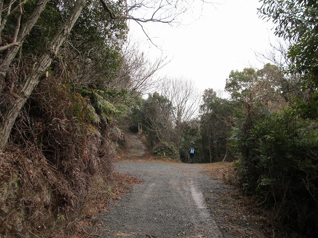 t04_067.jpg
