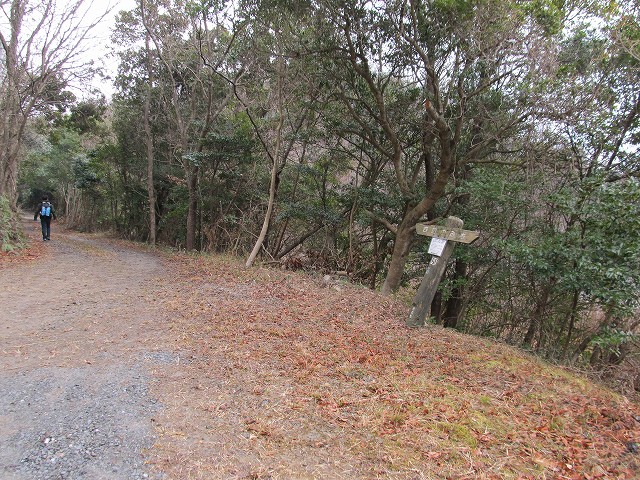 t04_068.jpg