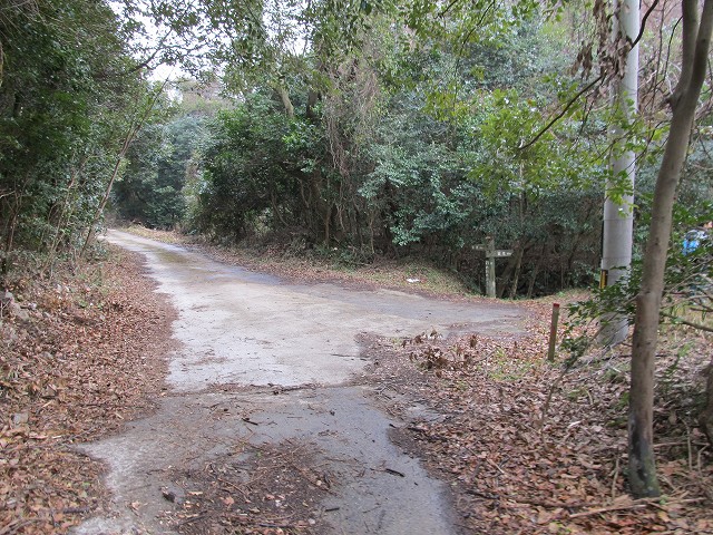 t04_069.jpg