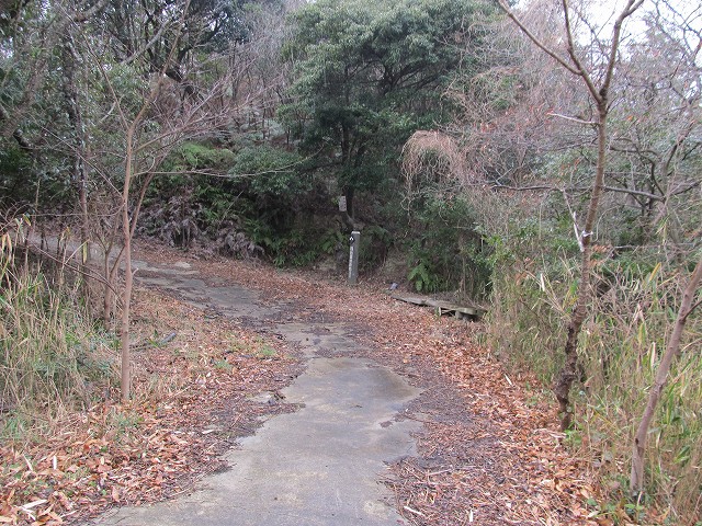 t04_070.jpg