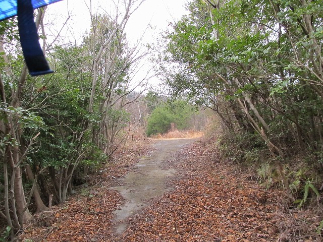 t04_072.jpg