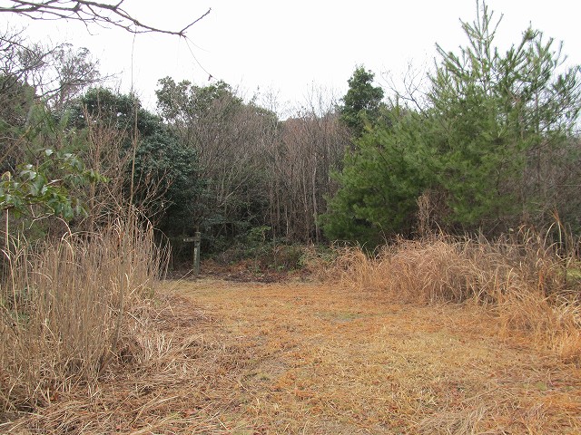 t04_073.jpg