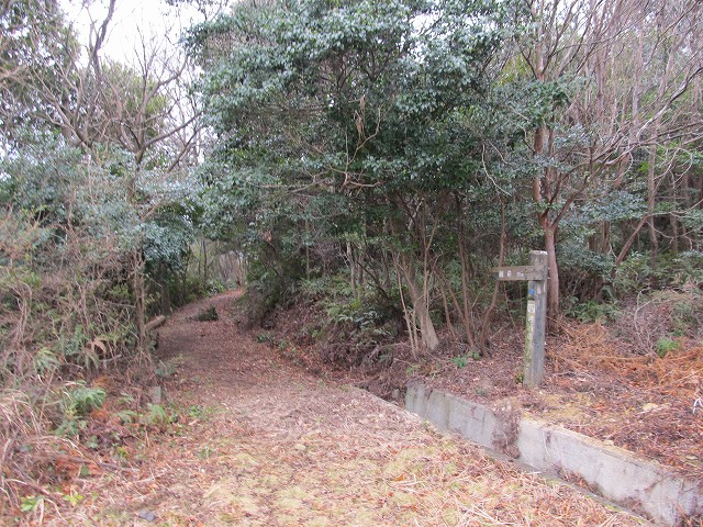 t04_074.jpg