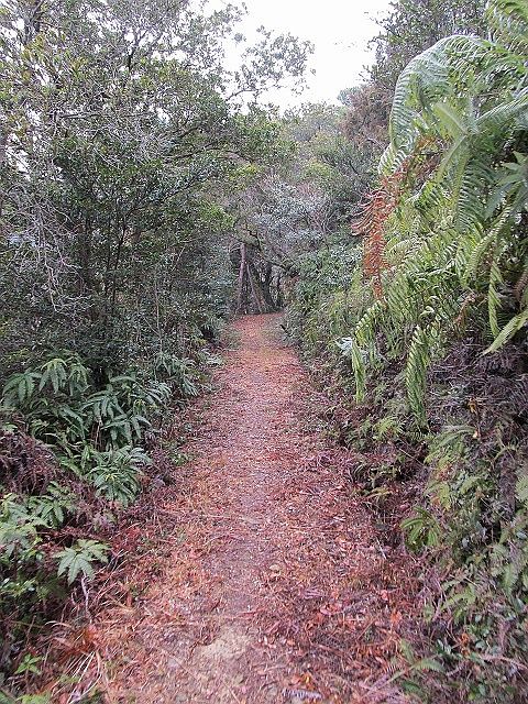 t04_075.jpg