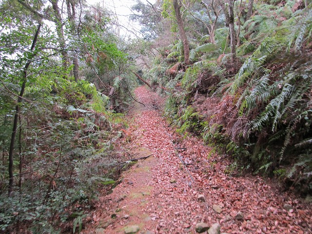 t04_077.jpg