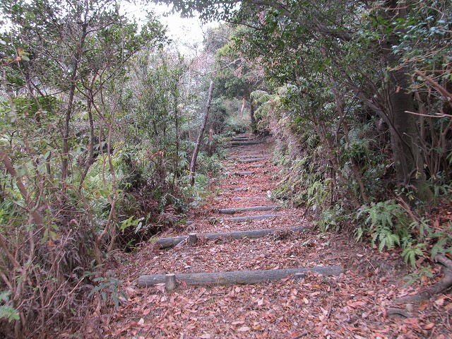 t04_078.jpg