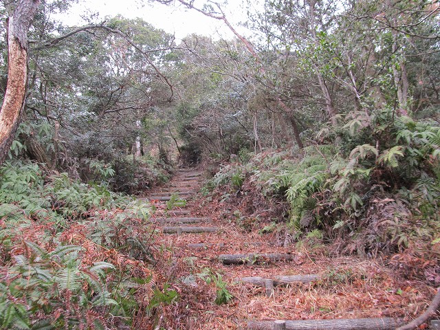 t04_079.jpg