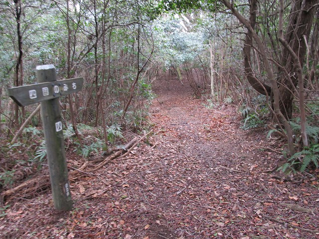 t04_080.jpg