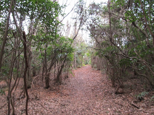 t04_082.jpg