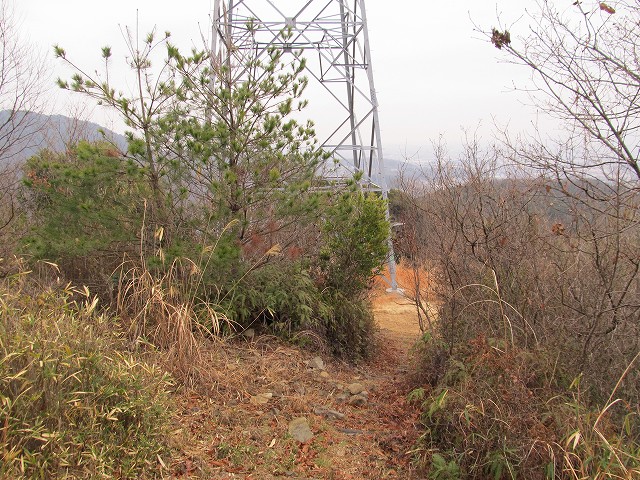 t04_083.jpg