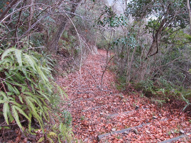 t04_084.jpg