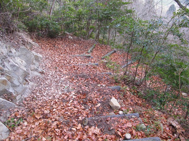 t04_085.jpg