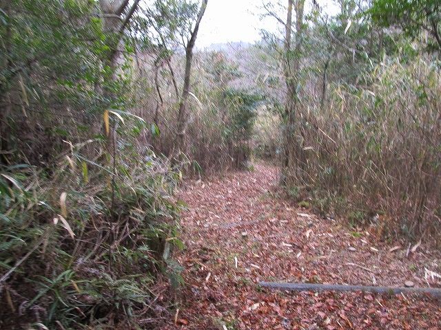 t04_086.jpg