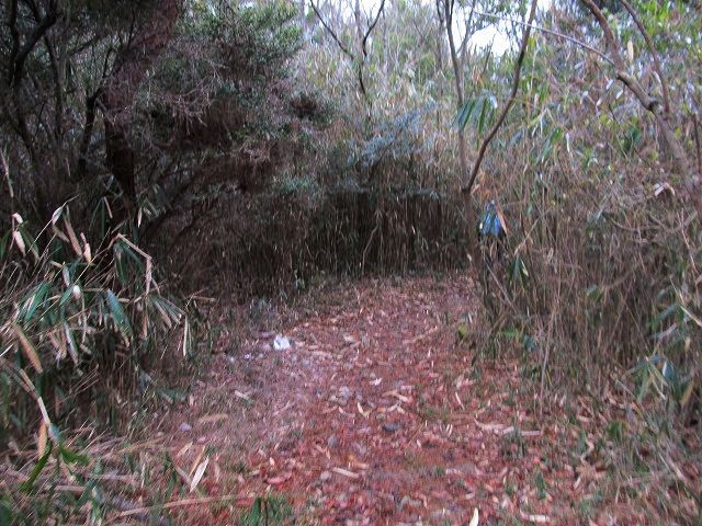t04_087.jpg