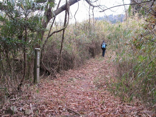 t04_088.jpg