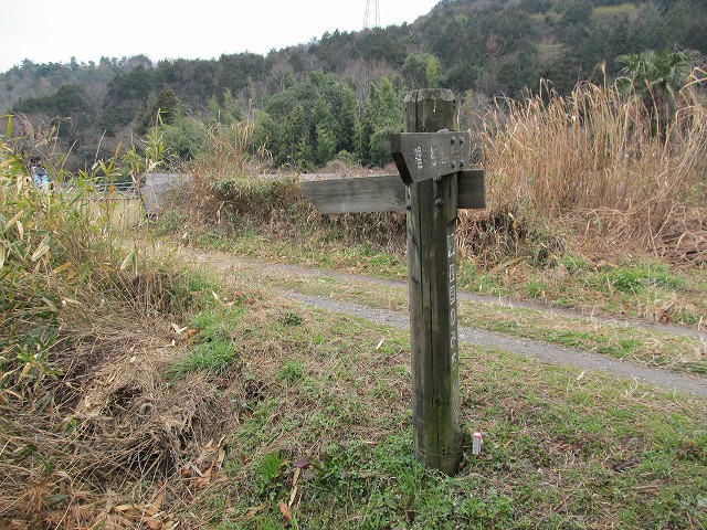 t04_090.jpg
