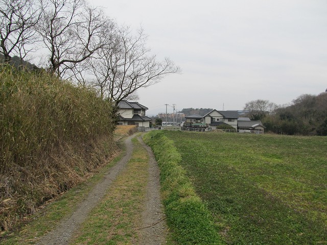 t04_091.jpg