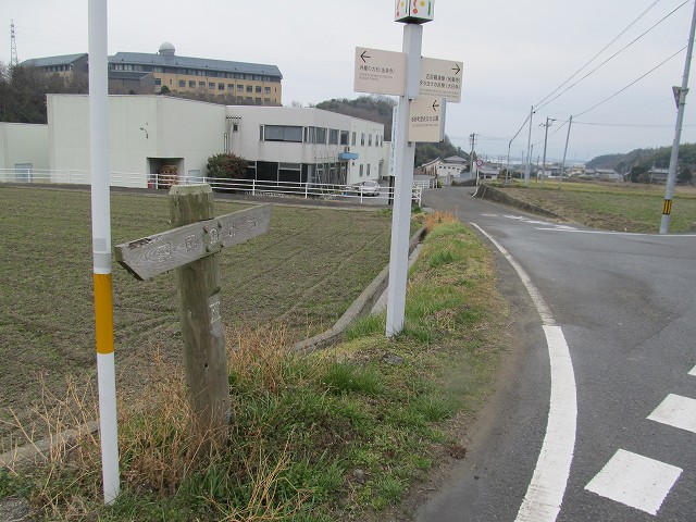t04_097.jpg