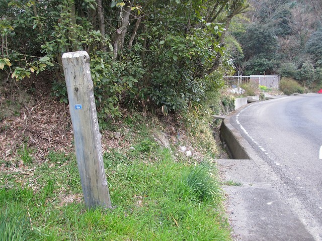 t04_099.jpg