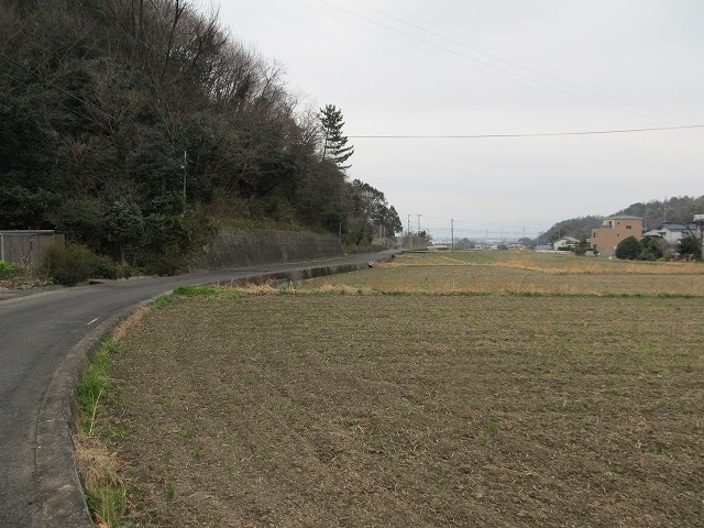 t04_100.jpg