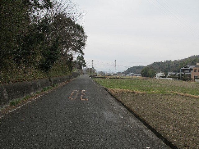 t04_101.jpg