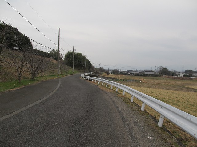 t04_102.jpg