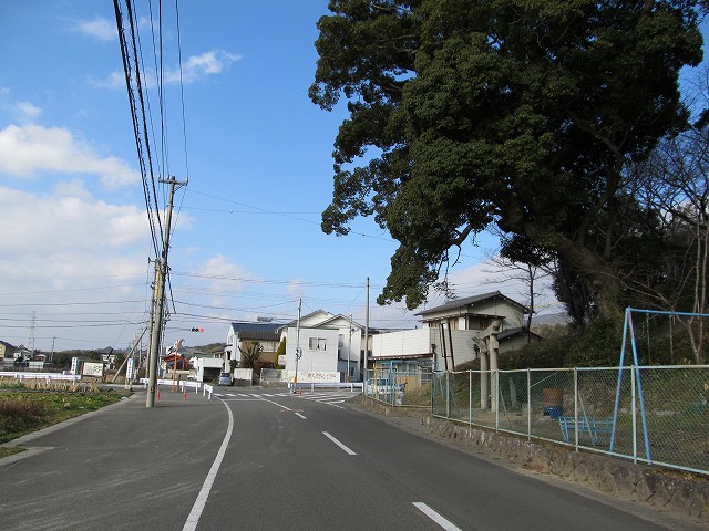 t05_005.jpg