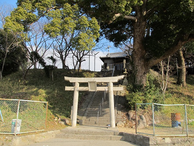 t05_006.jpg