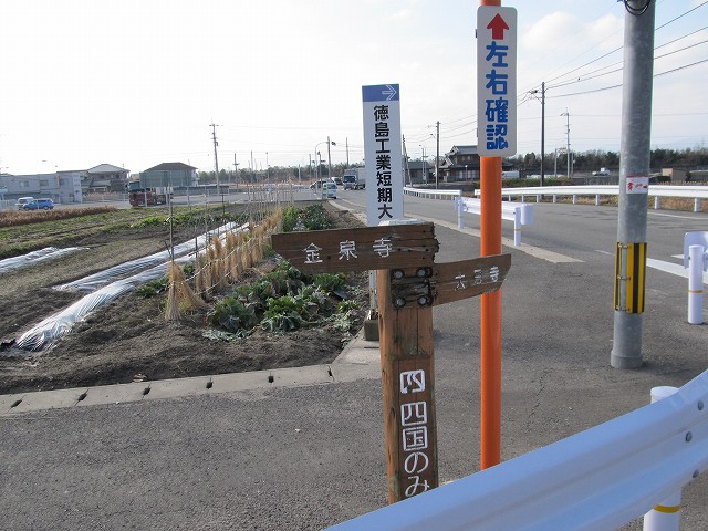 t05_009.jpg