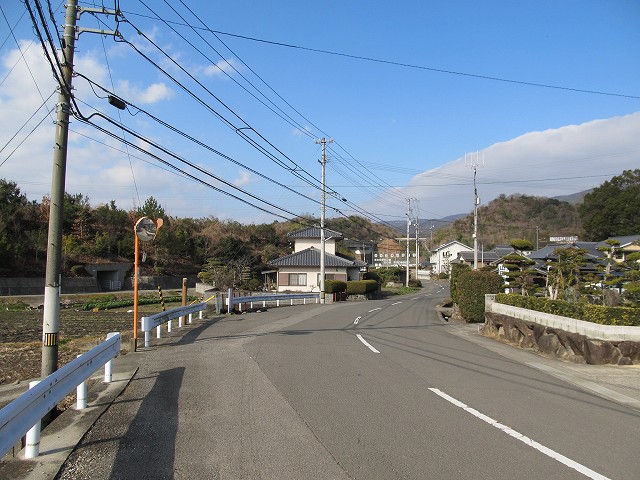 t05_010.jpg