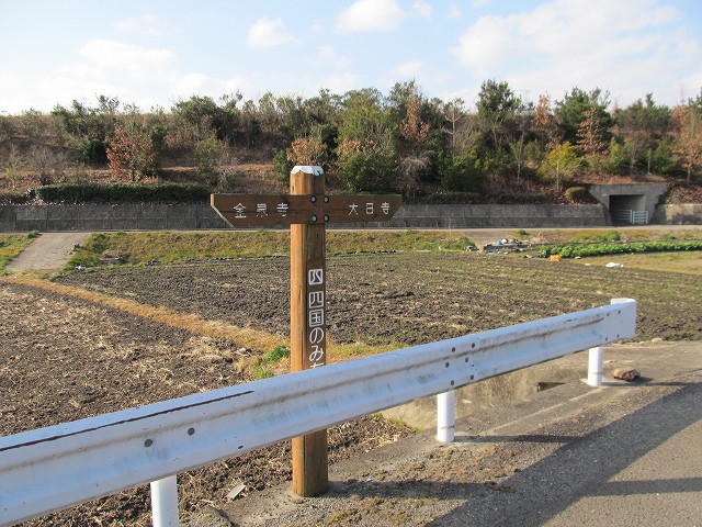 t05_011.jpg