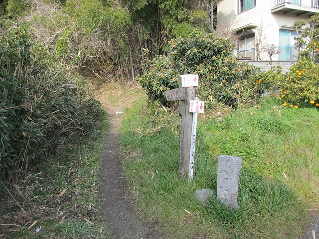 t05_019.jpg